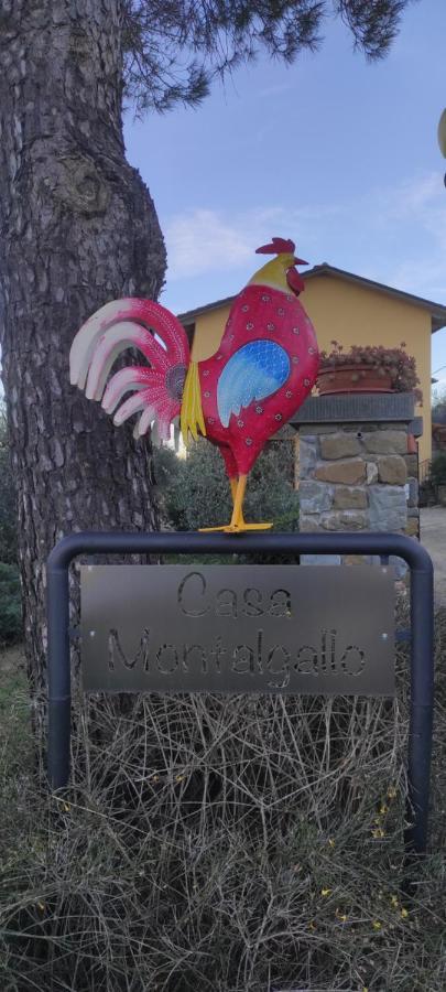 Casa Montalgallo Lucignano Zewnętrze zdjęcie